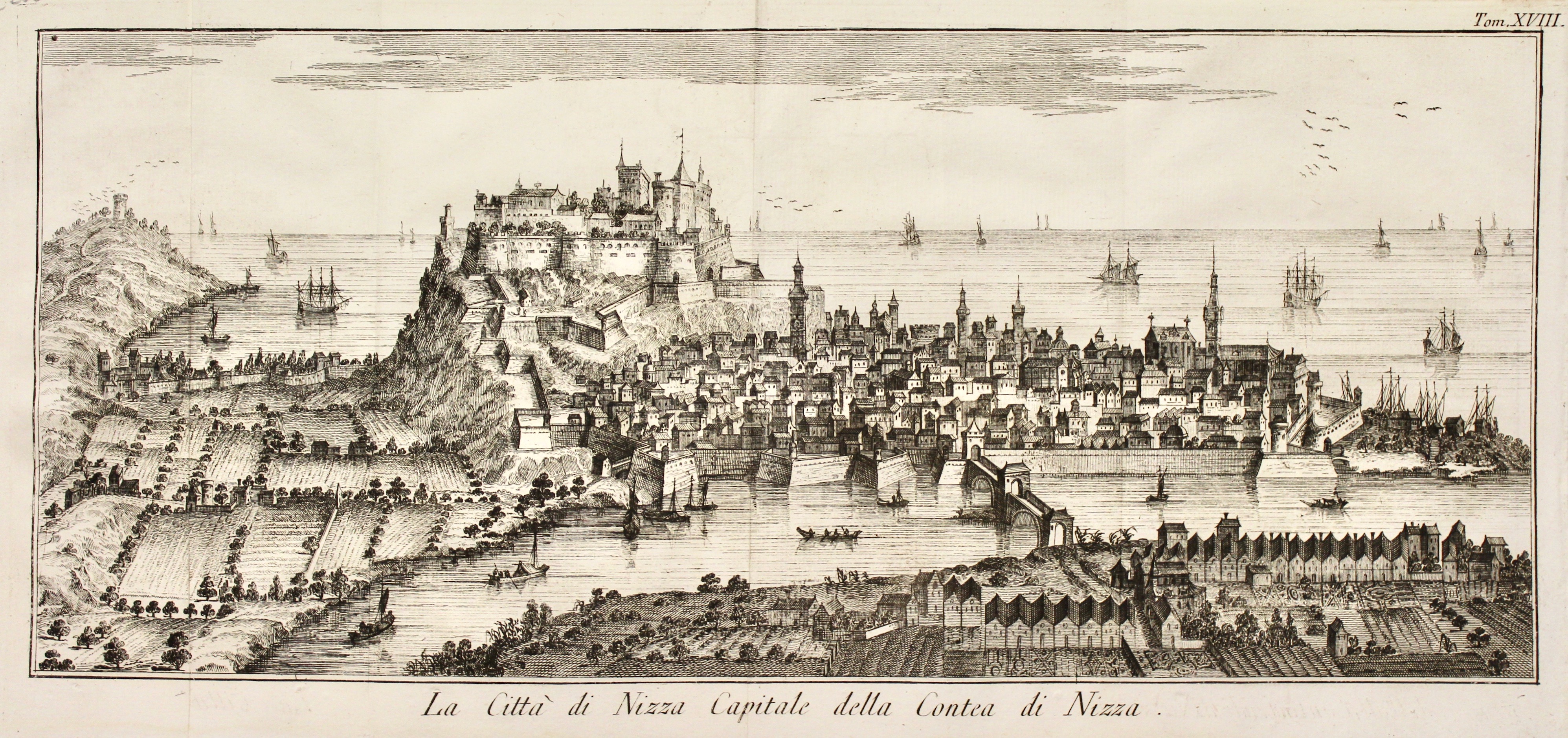 La Città di Nizza Capitale della Contea di Nizza