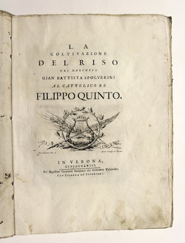 La coltivazione del riso… al cattolico Re Filippo quinto