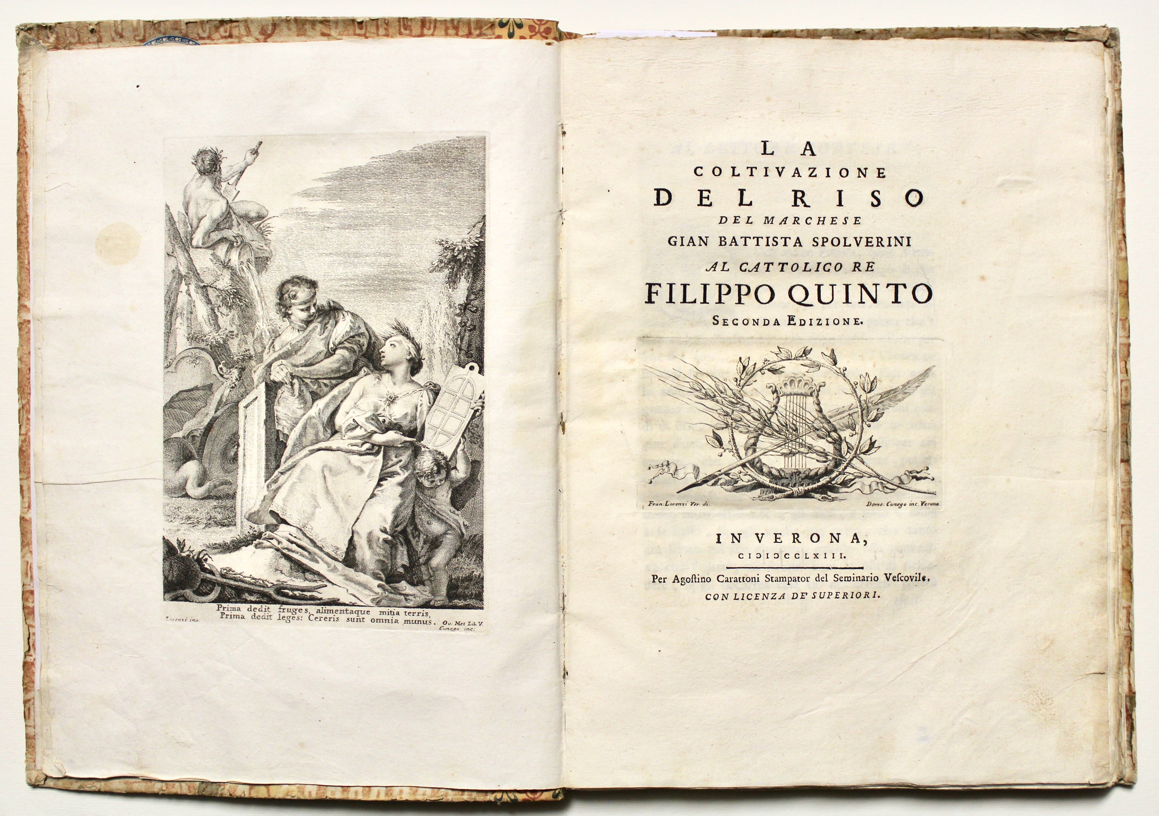 La coltivazione del riso… al cattolico Re Filippo quinto