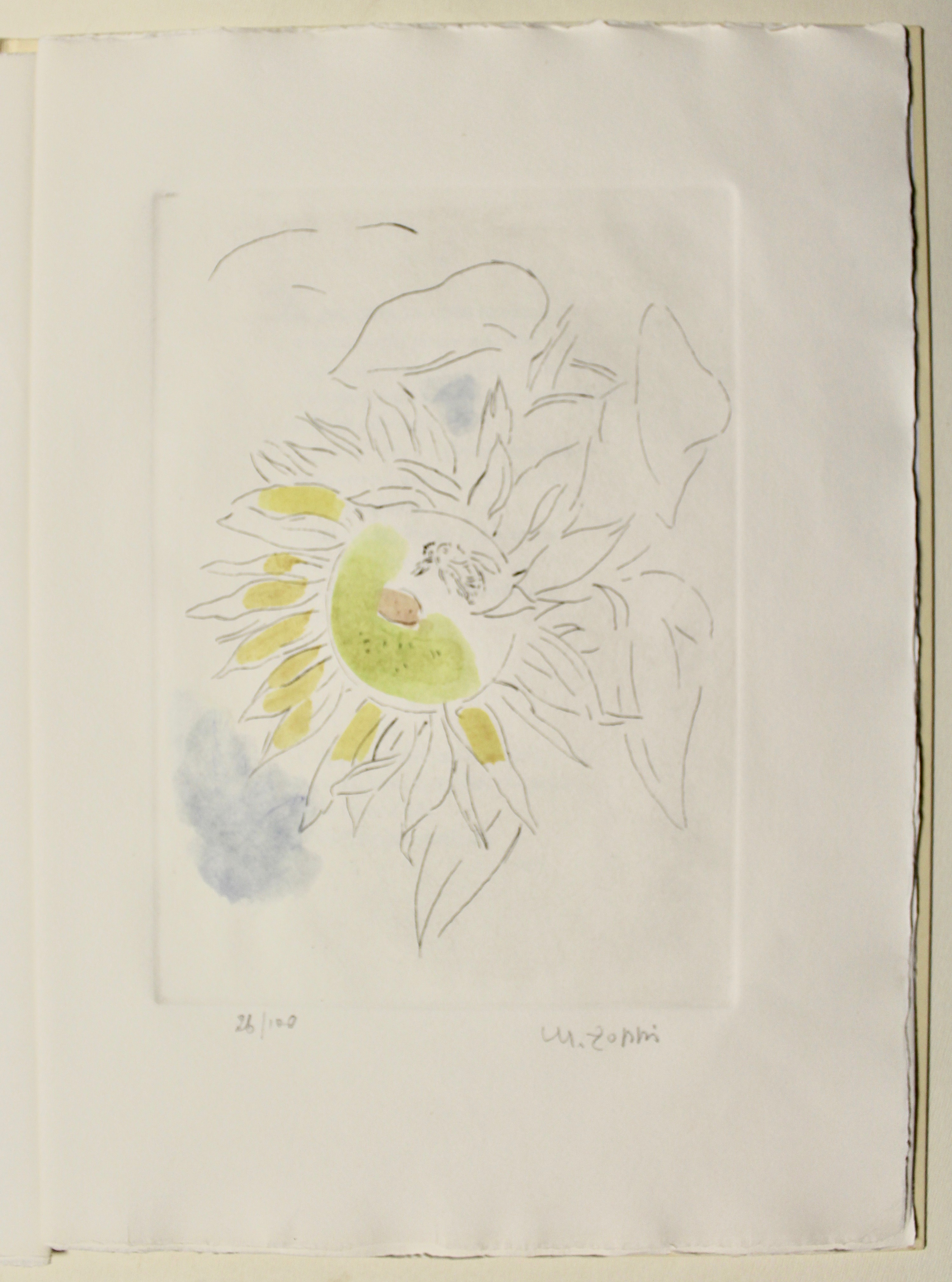 La mosca sulla rosa.