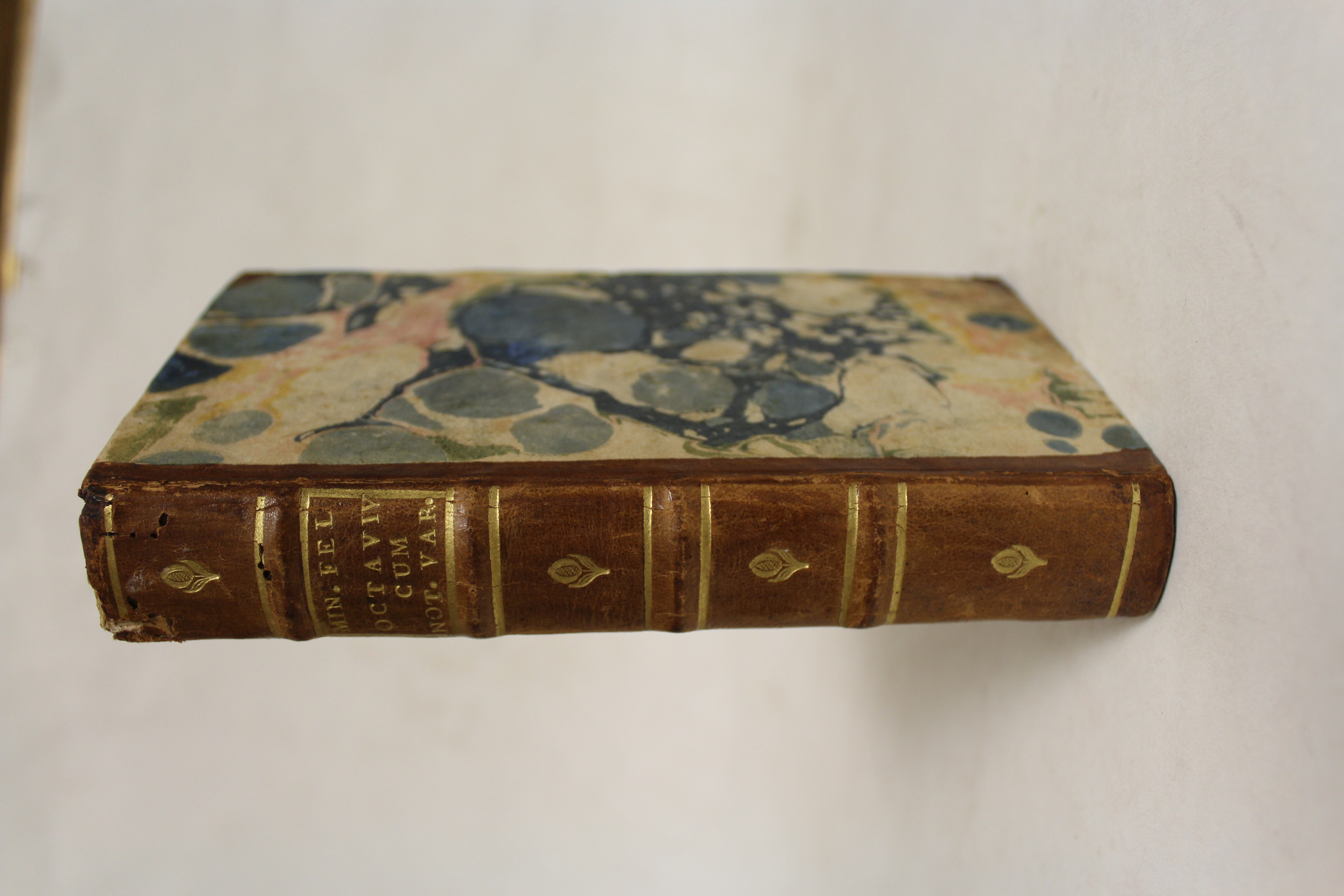 M. Minucii Felicis Octavius et Caecilii Cypriani de Vanitate Idolorum …