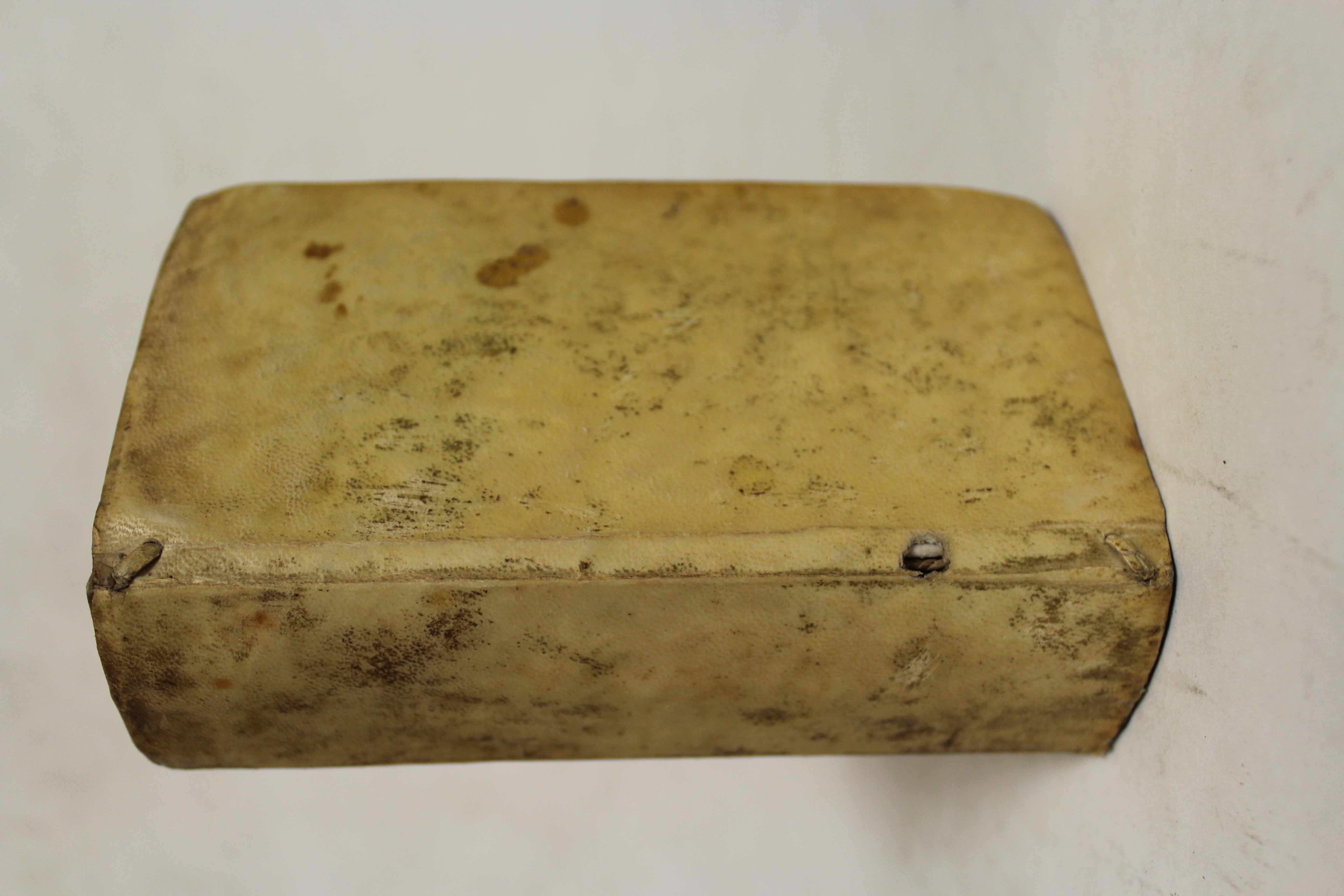 Novus synonymorum, epithetorum, et phrasium poeticarum thesaurus, recognitus, & à …