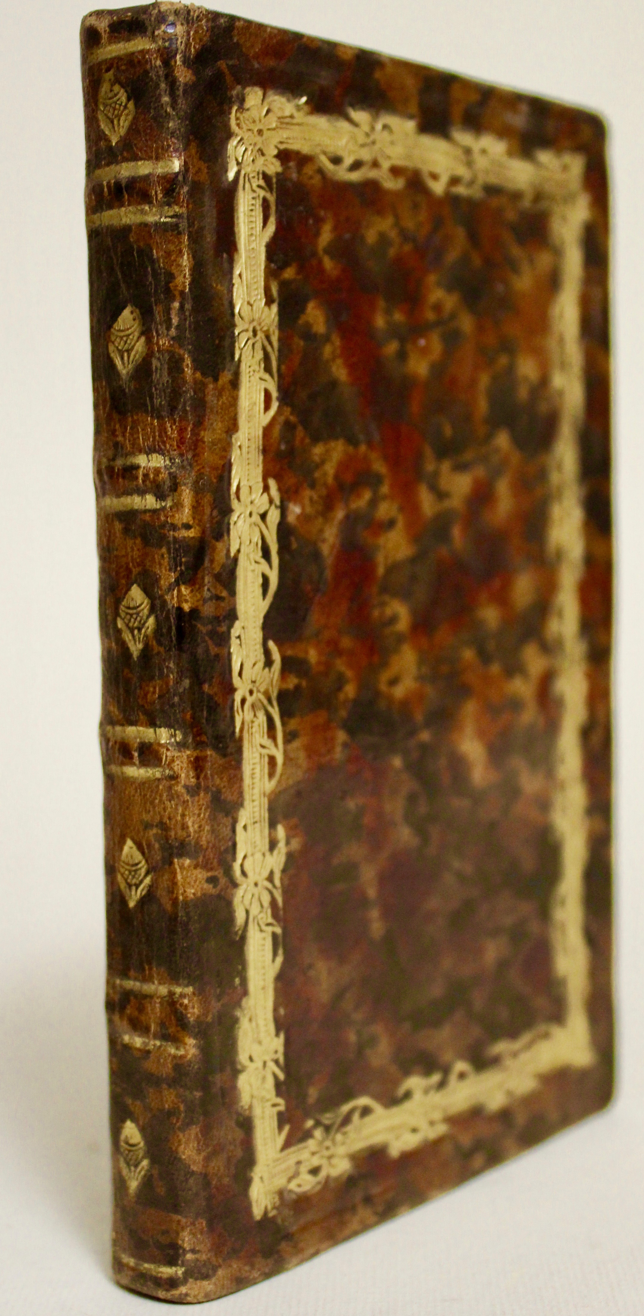 Nuovo libro d'oro che contiene i nomi e l'età de' …