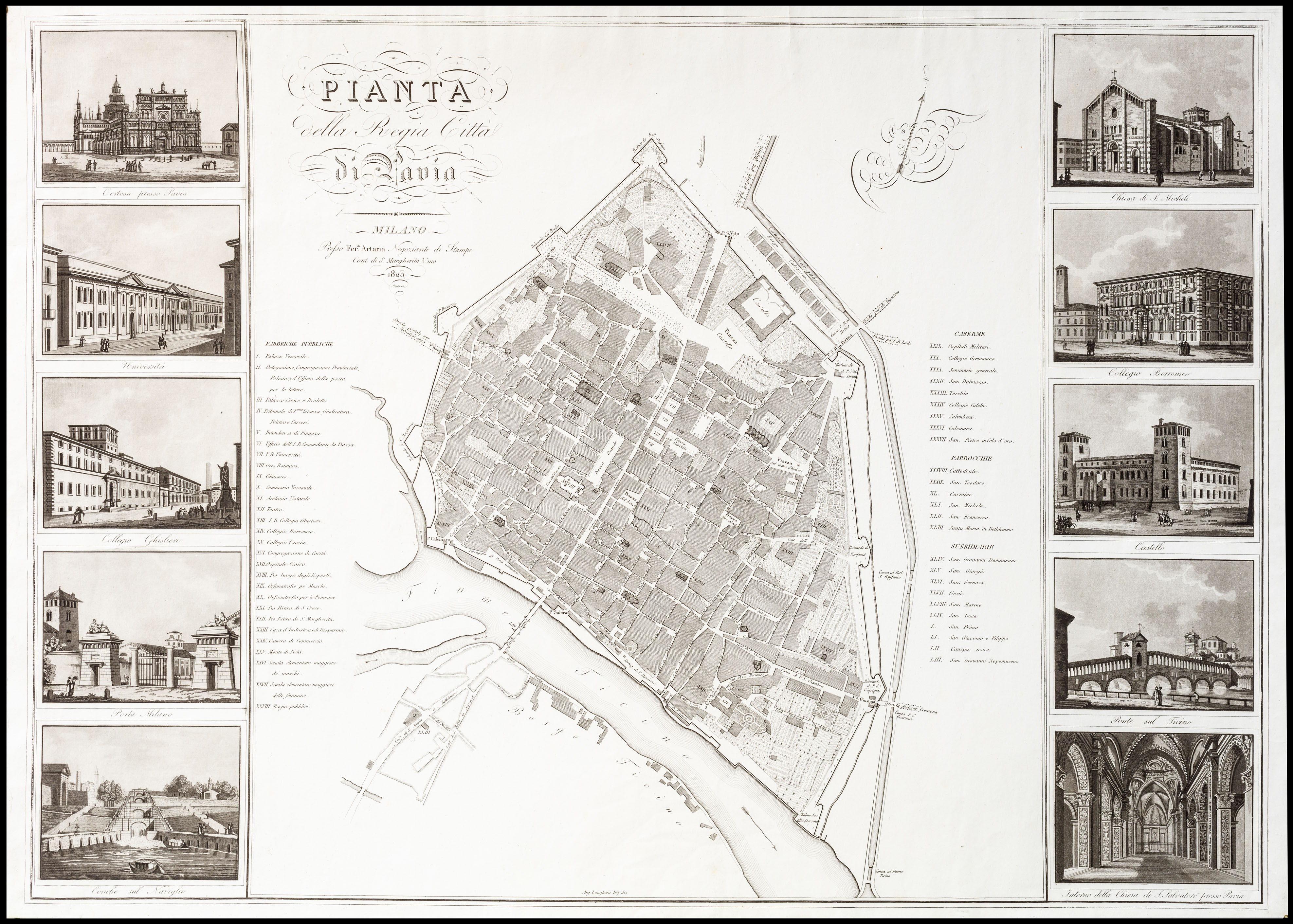 Pianta della Regia Città di Pavia