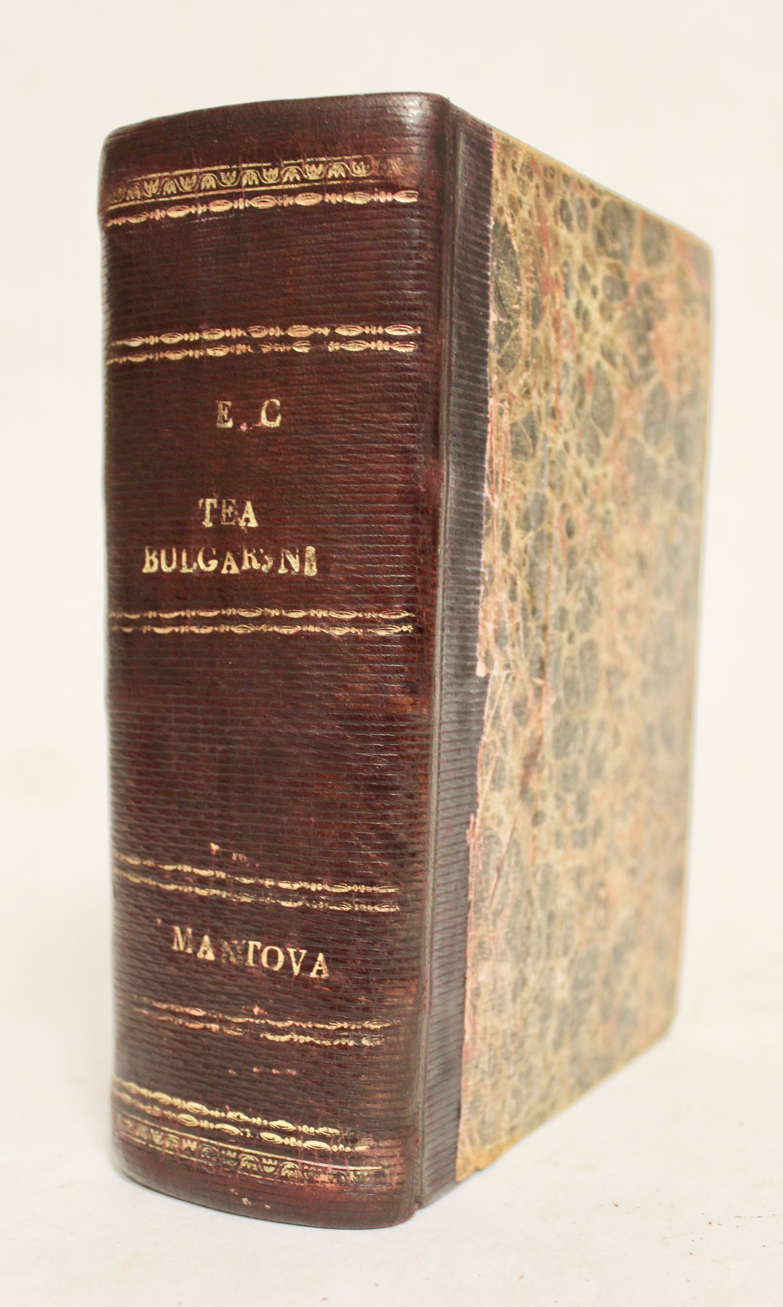Tea Bulgarini ovvero l'ultimo dei Gonzaga racconto storico.