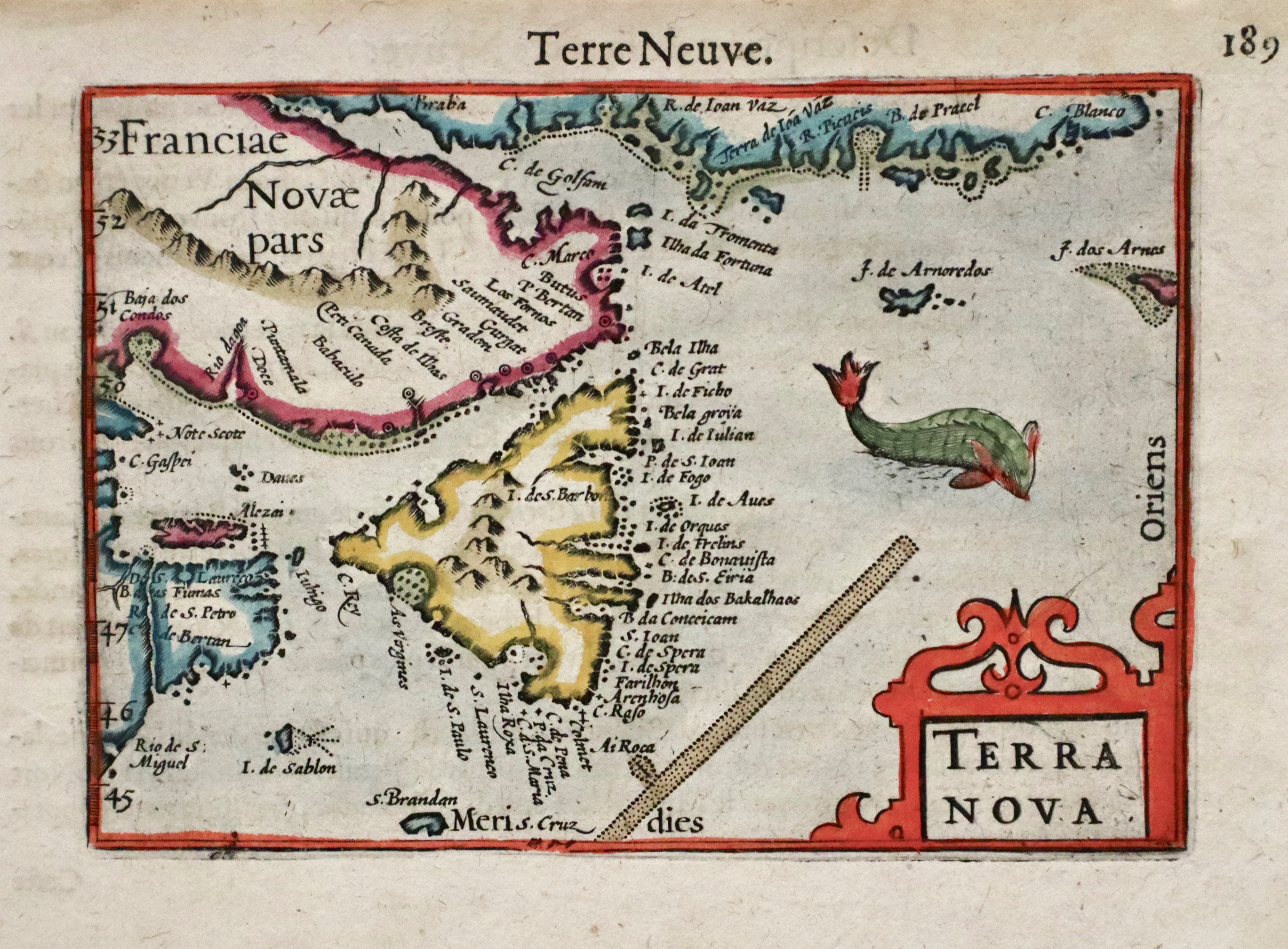 Terra nova