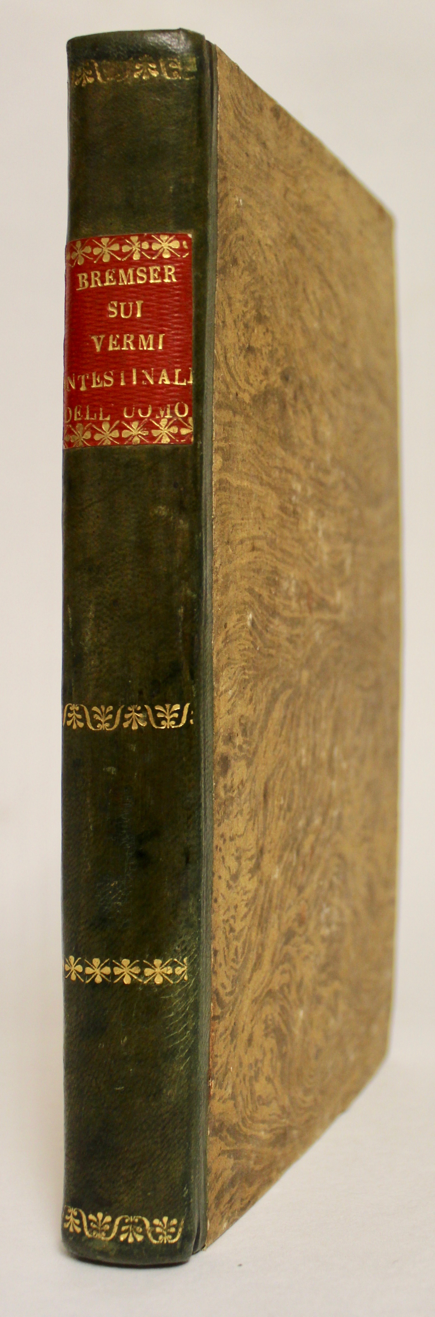 Trattato Zoologico e Fisiologico sui vermi intestinali dell'uomo. Prima traduzione …