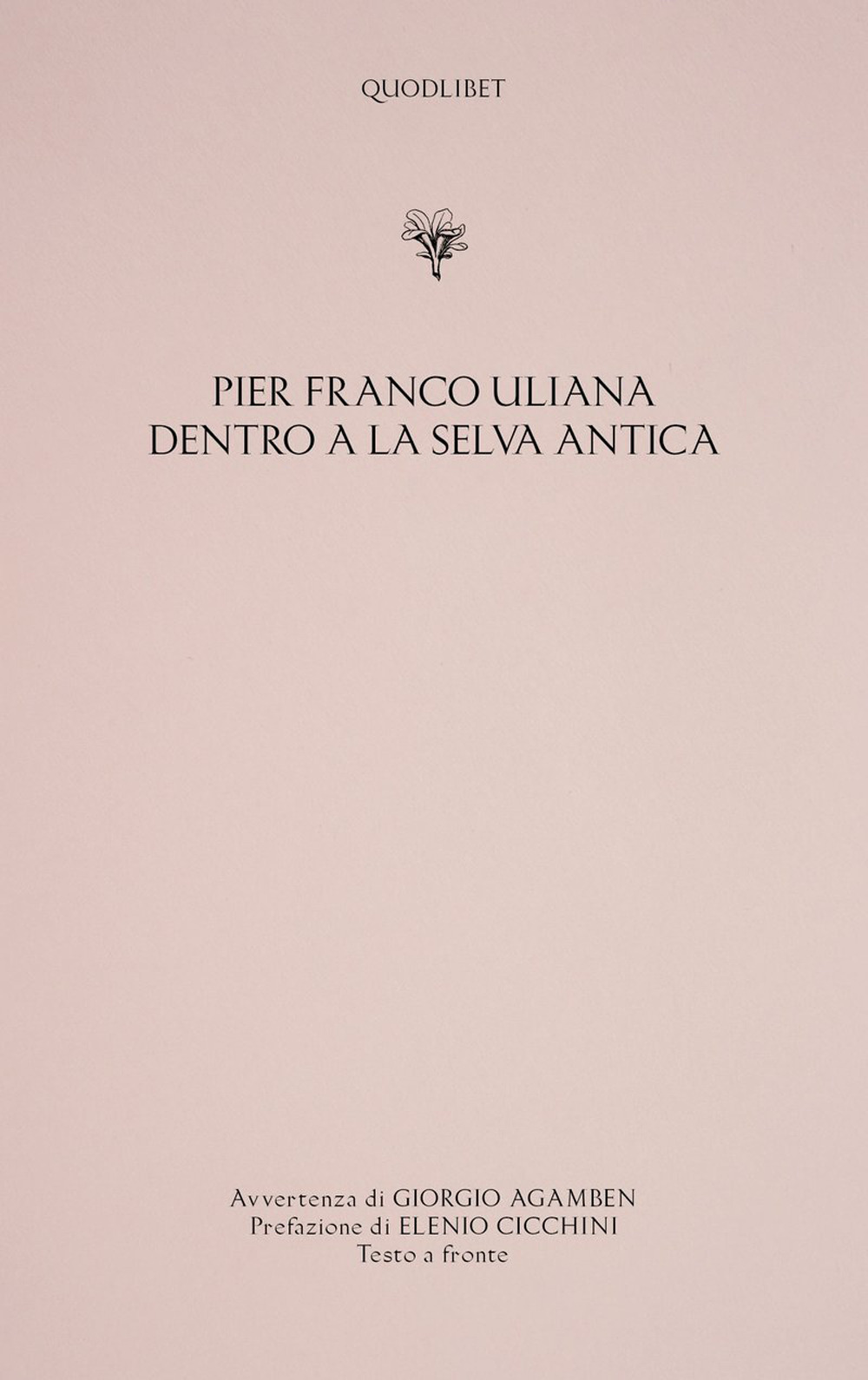 Dentro a la selva antica