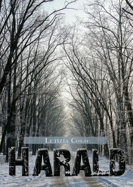 Harald di Letizia Cogo, 2020, Youcanprint