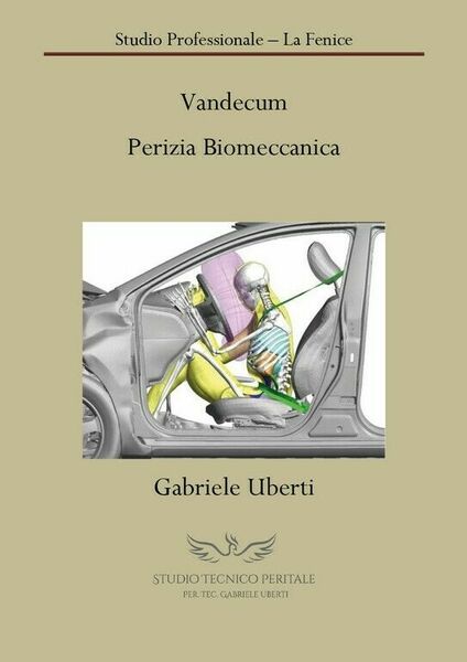 Vandecum Perizia Biomeccanica di Gabriele Uberti, 2018, Youcanprint