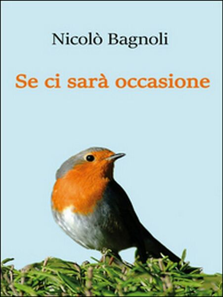 Se ci sarà occasione di Nicolò Bagnoli, 2016, Youcanprint