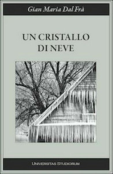 Un cristallo di neve di G. Maria Dal Frà, 2015, …