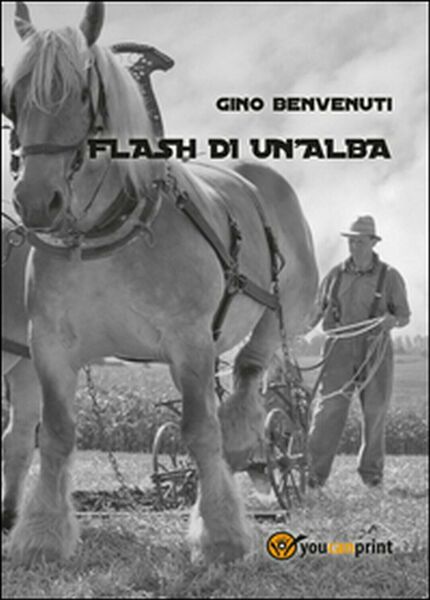 Flash di un?alba di Gino Benvenuti, 2014, Youcanprint