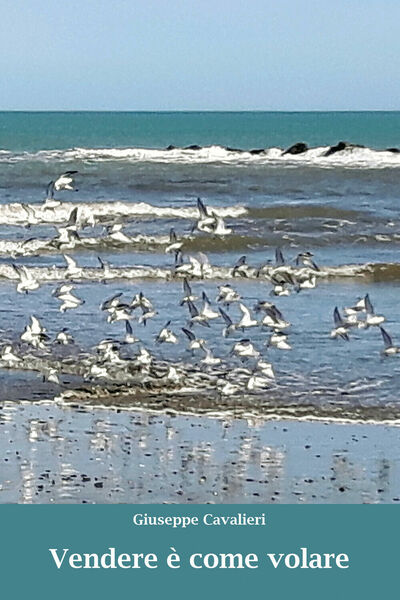 Vendere è come volare di Giuseppe Cavalieri, 2020, Youcanprint