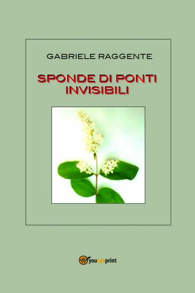 Sponde di ponti invisibili di Gabriele Raggente, 2020, Youcanprint