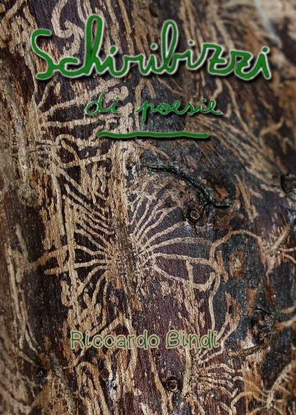 Schiribizzi di poesie di Riccardo Bindi, 2019, Youcanprint