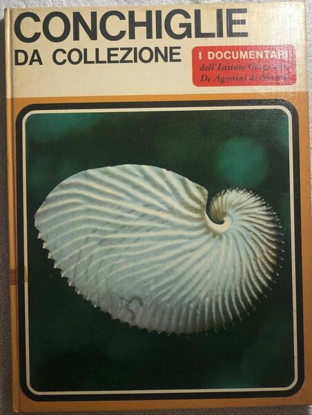 Conchiglie da collezione di Sergio Angeletti, 1968, Istituto Geografico Deagos