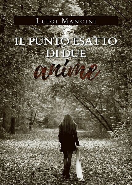 Il punto esatto di due anime di Luigi Mancini, 2019, …