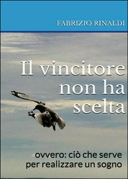 Il vincitore non ha scelta - Fabrizio Rinaldi, 2015, Youcanprint