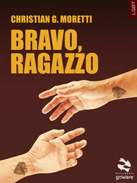 Bravo, ragazzo di Christian G. Moretti, 2017, Goware