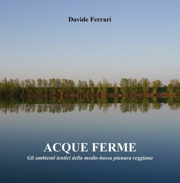 Acque ferme di Davide Ferrari, 2019, Youcanprint