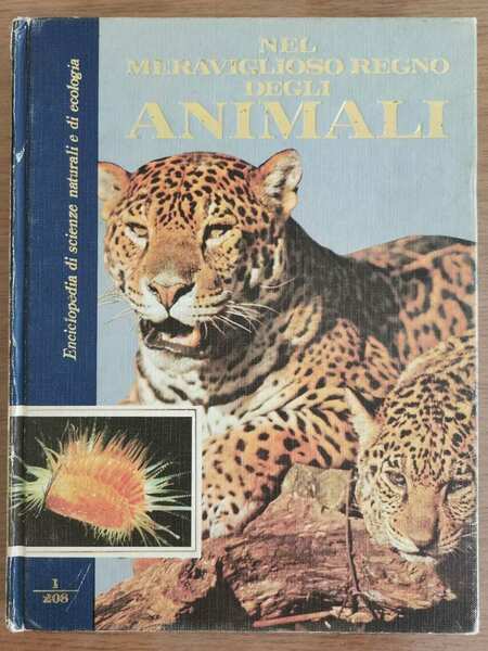 Nel meraviglioso mondo degli animali 1 - Curcio editore - …