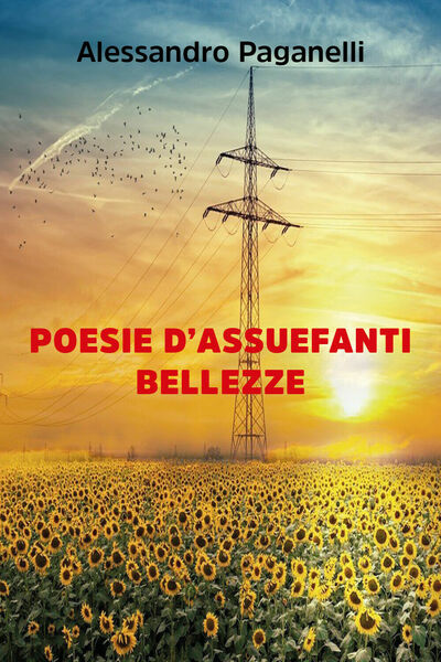 Poesie d?assuefanti bellezze di Alessandro Paganelli, 2020, Youcanprint