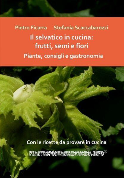 Il selvatico in cucina: frutti, semi e fiori. Piante, consigli …