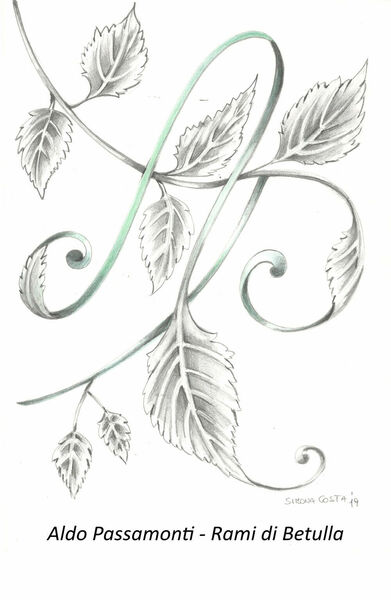 Rami di betulla di Aldo Passamonti, 2019, Youcanprint