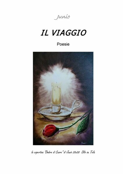 Il viaggio della neve di Junio, 2019, Youcanprint