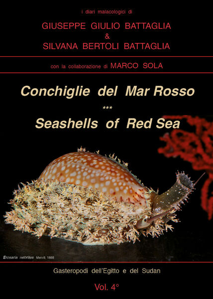 Conchiglie del Mar Rosso-Red Sea?s seashelles. Ediz. bilingue di Giuseppe …