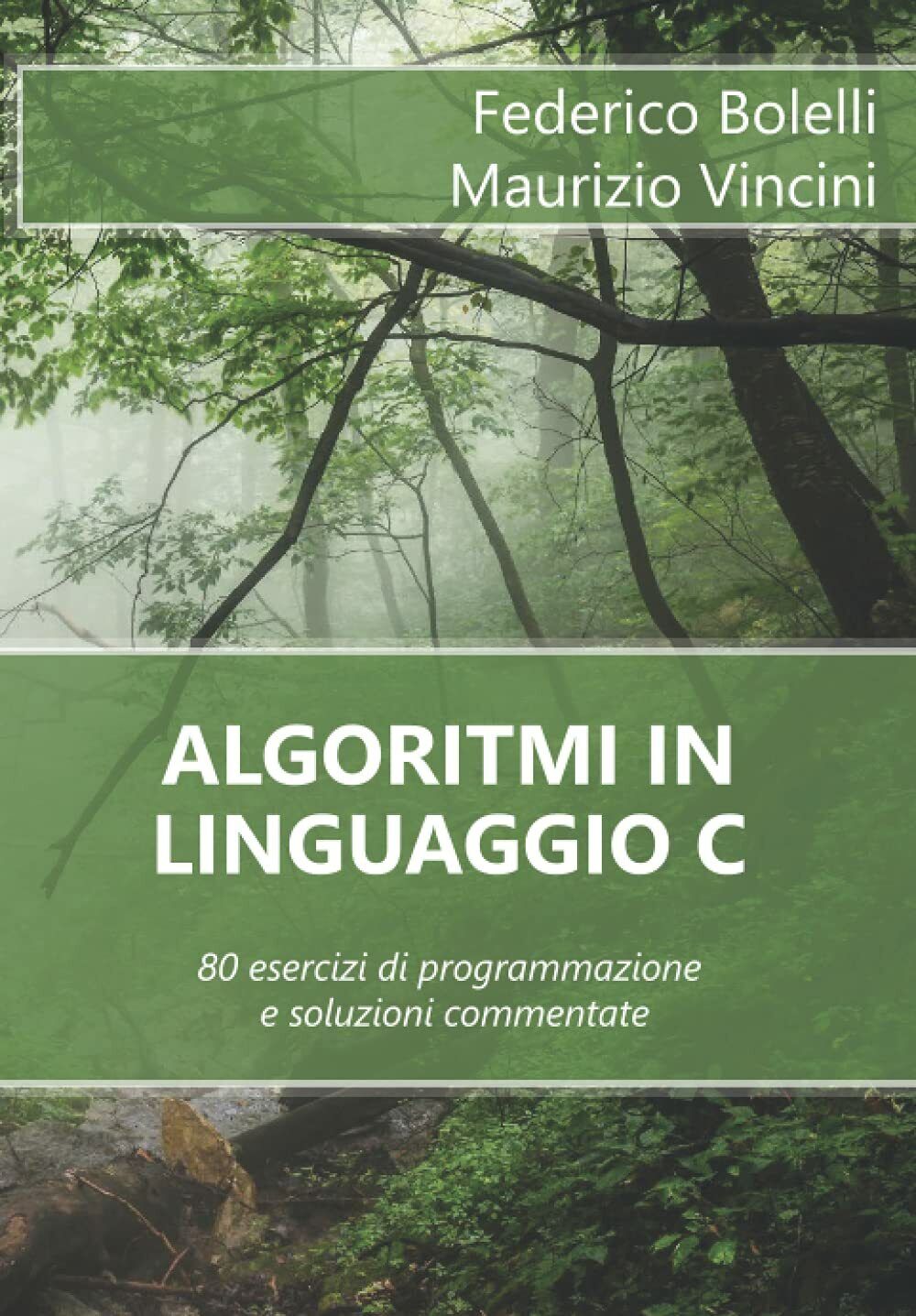 Algoritmi in Linguaggio C 80 Esercizi Di Programmazione e Soluzioni …