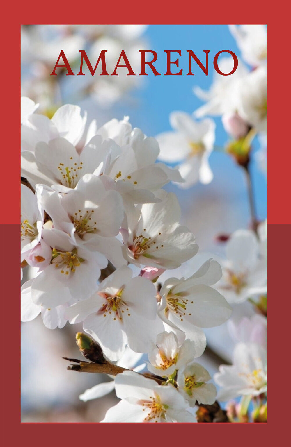 Amareno di Massimo Grimaldi, 2021, Youcanprint