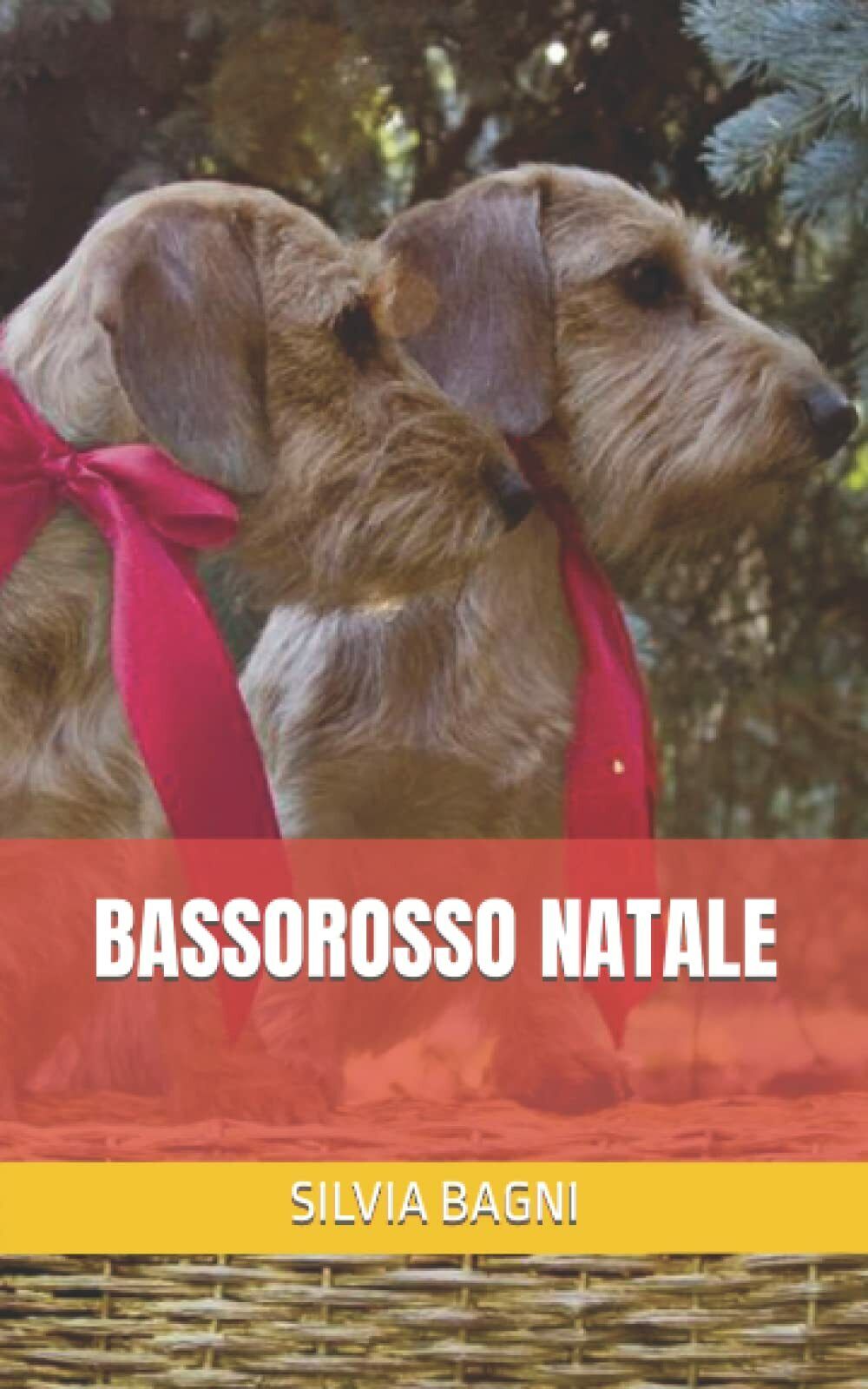 Bassorosso Natale di Silvia Bagni, 2021, Indipendently Published