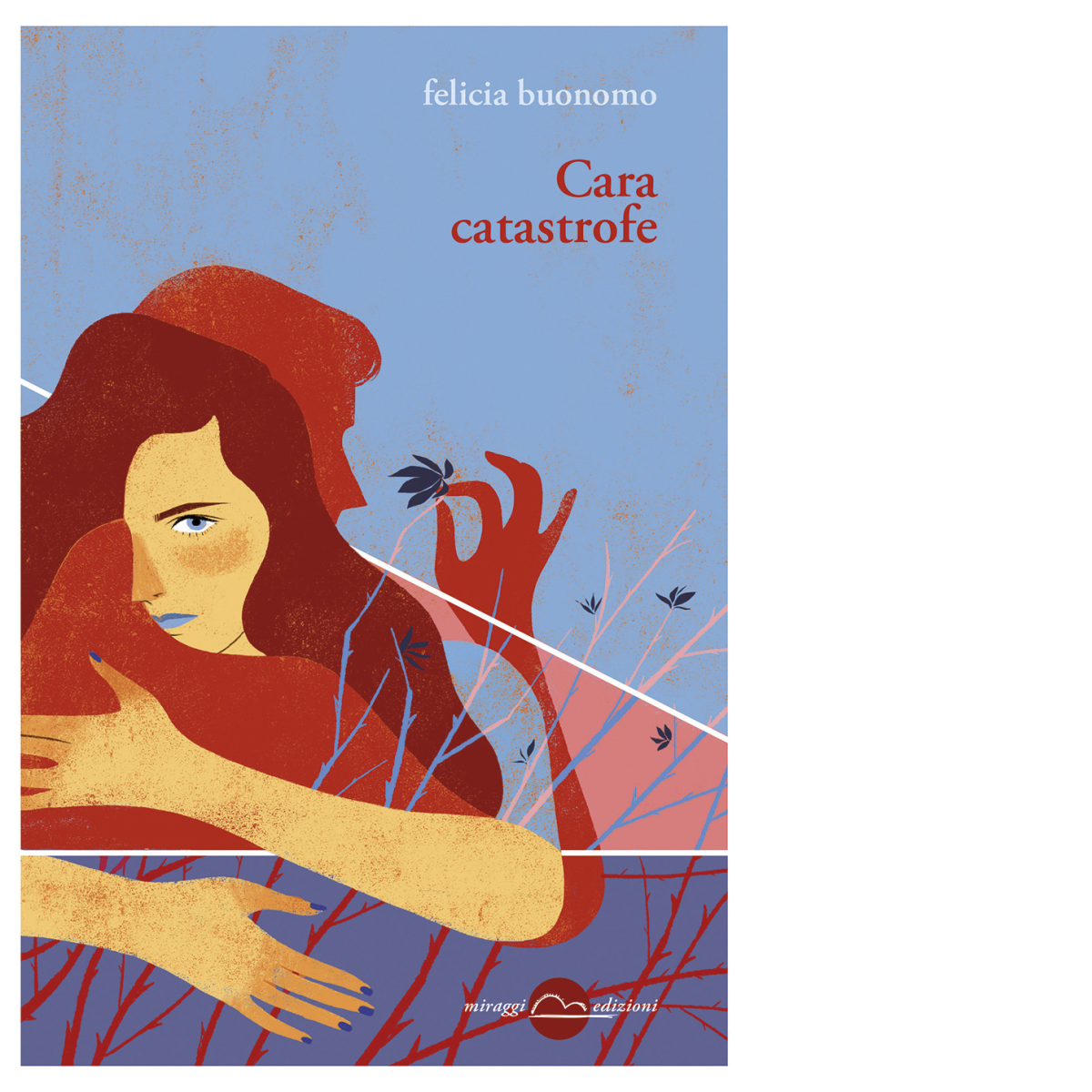Cara catastrofe di Felicia Buonomo - Miraggi edizioni, 2020