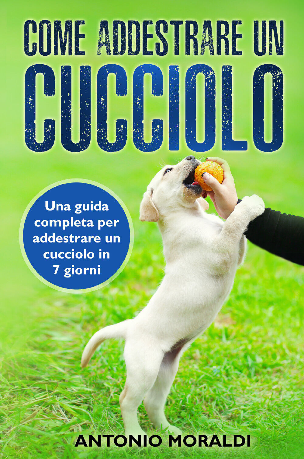 Come addestrare un cucciolo. Una guida completa per addestrare un …