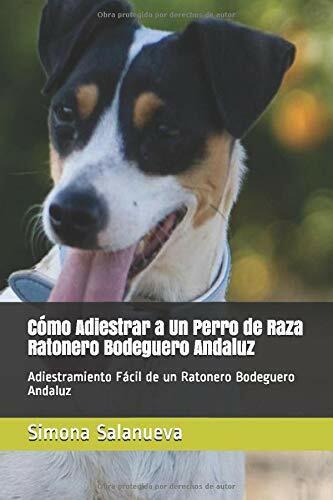 Cómo Adiestrar a Un Perro de Raza Ratonero Bodeguero Andaluz: …