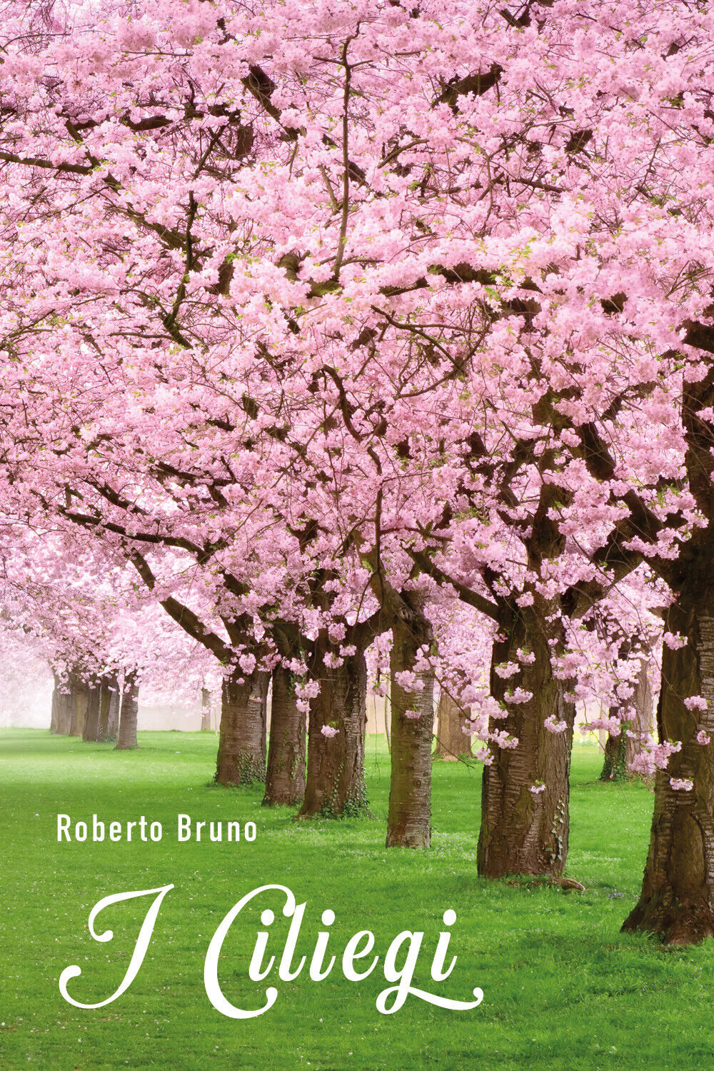 I Ciliegi di Roberto Bruno, 2022, Youcanprint