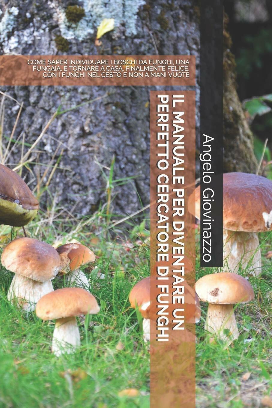 Il Manuale Per Diventare Un Perfetto Cercatore Di Funghi Come …