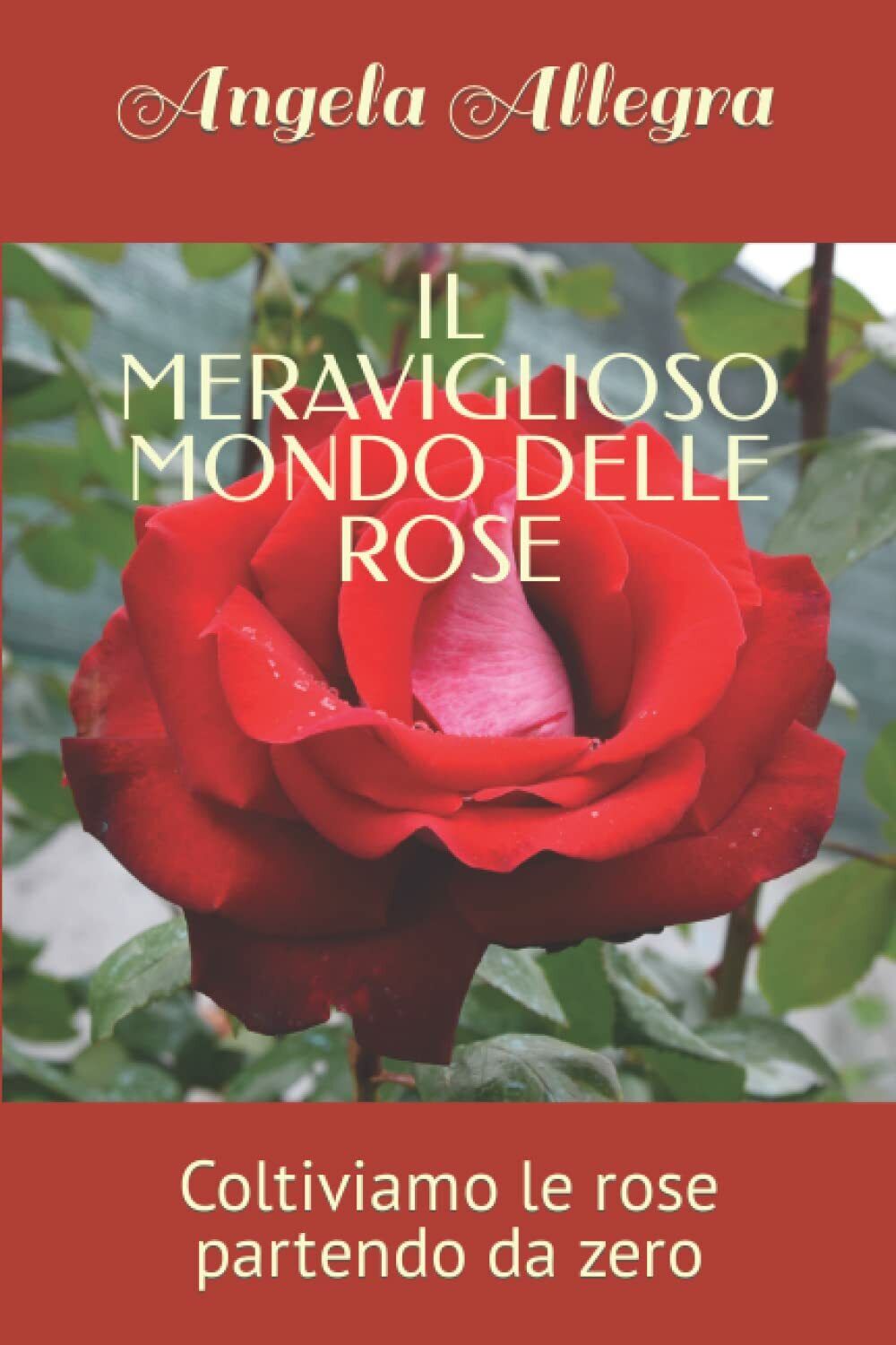 IL MERAVIGLIOSO MONDO DELLE ROSE: Coltiviamo le rose partendo da …