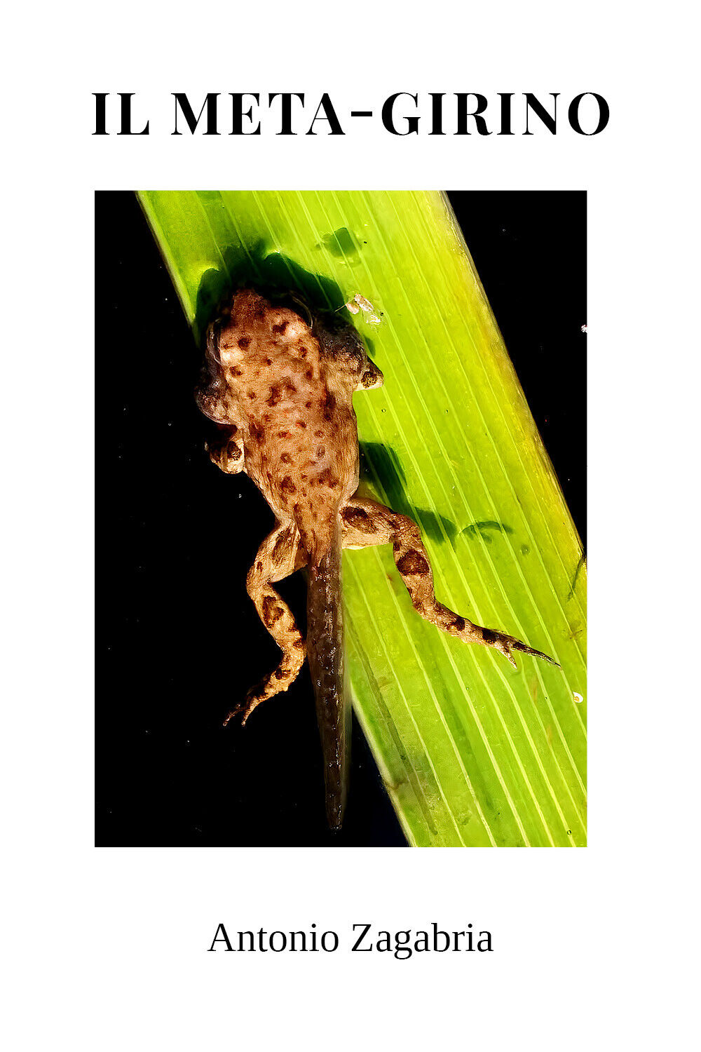 Il meta-girino di Antonio Zagabria, 2022, Youcanprint