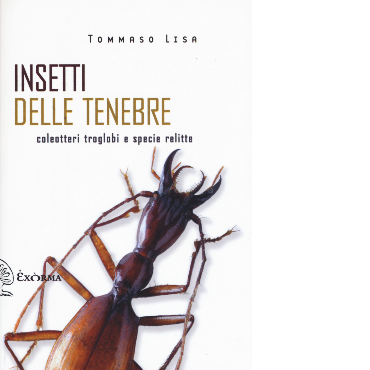 INSETTI DELLE TENEBRE di Lisa Tommaso - Exòrma, 2022