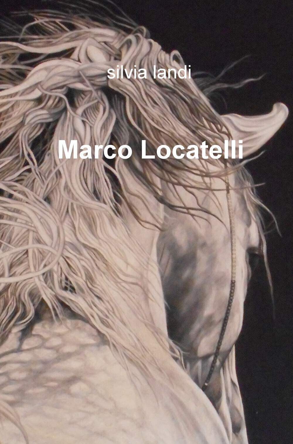 Marco Locatelli - Silvia Landi - ilmiolibro, 2019