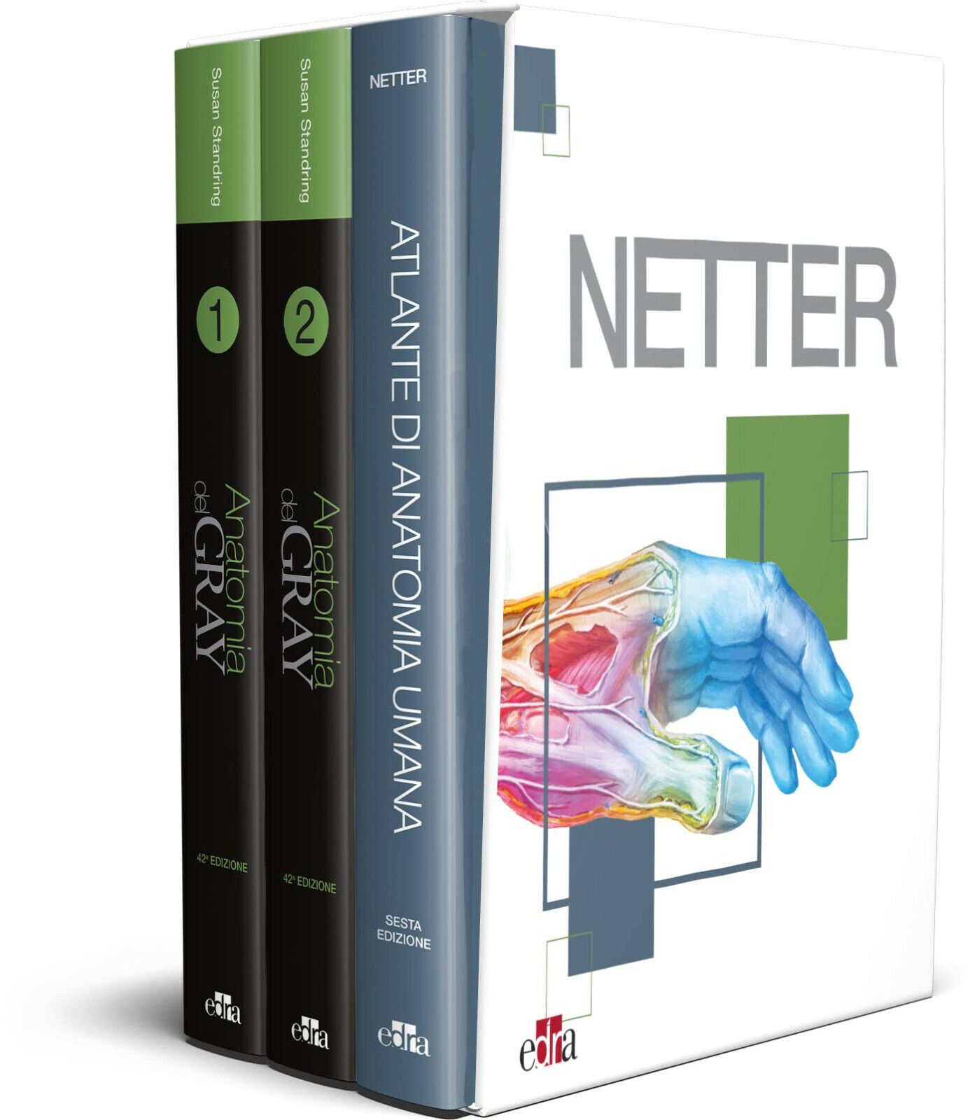 Netter Gray - Frank H. Netter, Susan Standring - Edra, …