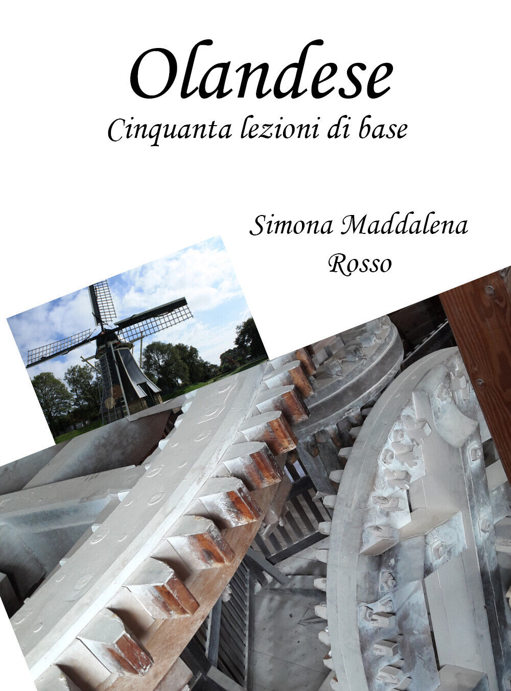 Olandese. Cinquanta lezioni di base di Simona Maddalena Rosso, 2021, …