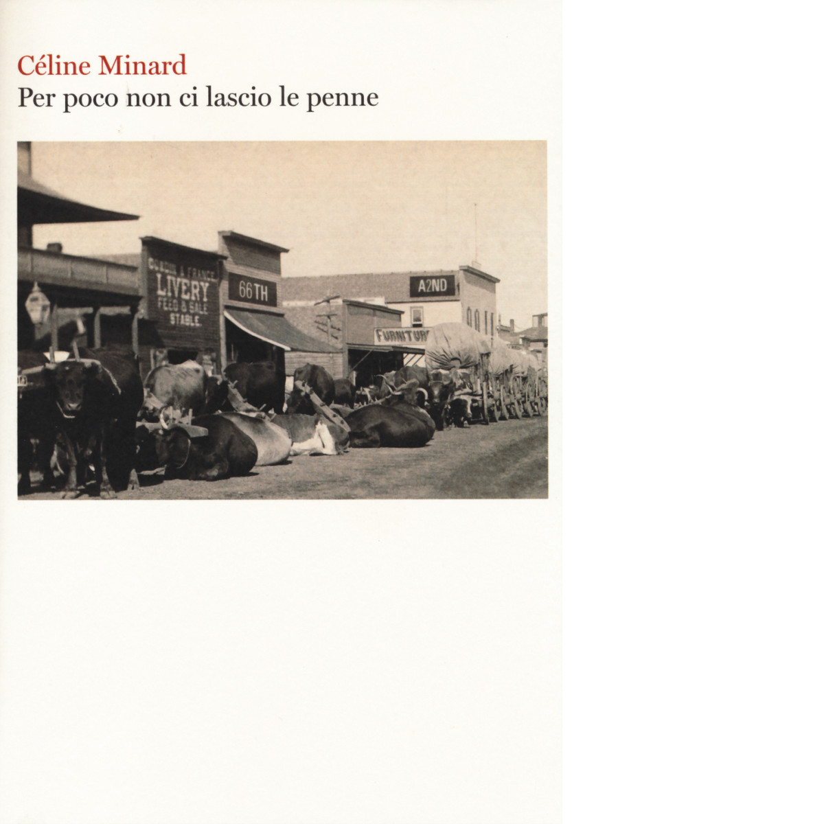 Per poco non ci lascio le penne di Céline Minard, …