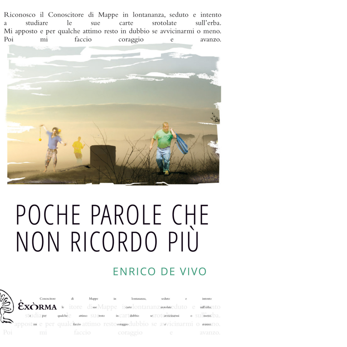 POCHE PAROLE CHE NON RICORDO PIÙ di ENRICO DE VIVO …