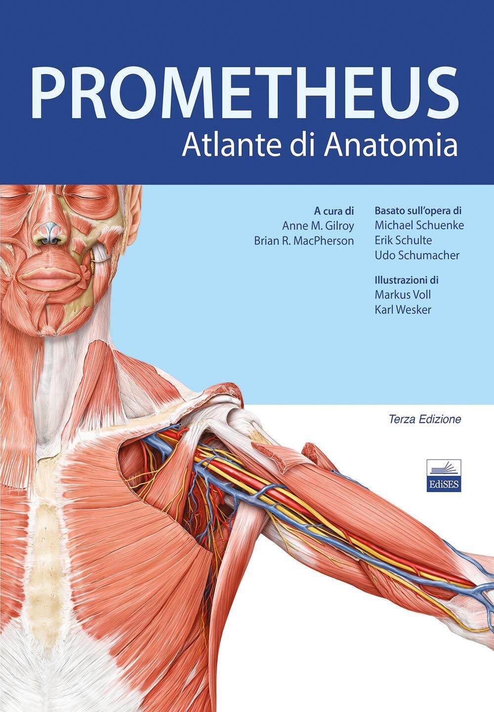 Prometheus. Altante di anatomia - Anne M. Gilroy - Edises, …