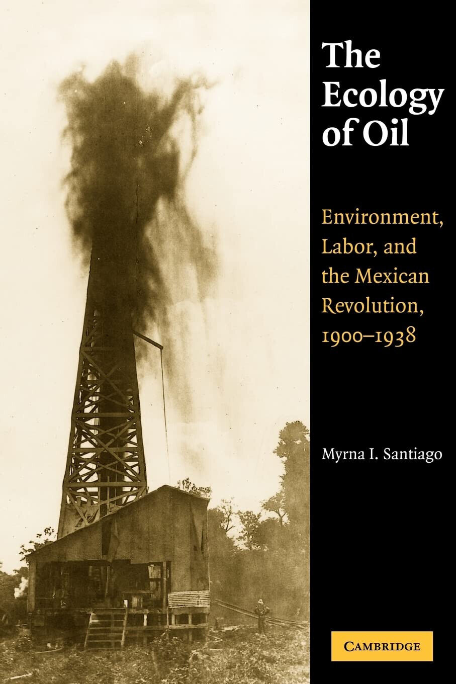 The Ecology of Oil - Myrna I. Santiago, Santiago Myrna …