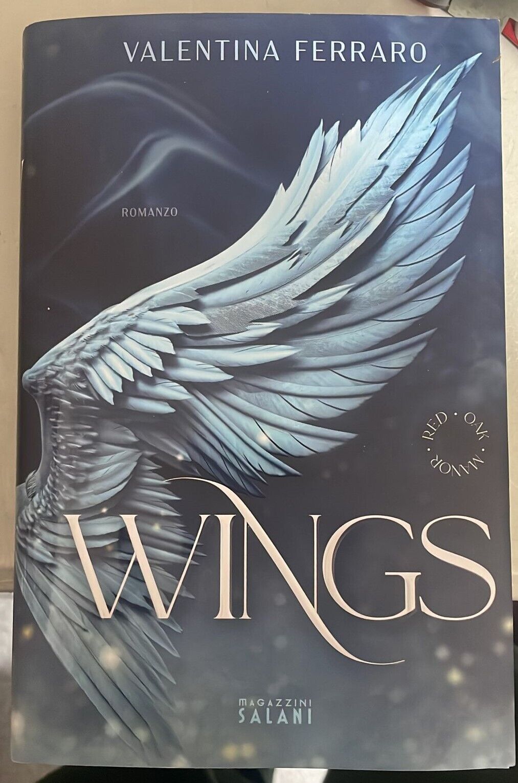 Wings di Valentina Ferraro, 2023, Magazzini Salani